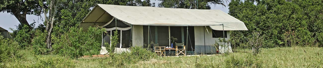 Porini Lion Camp